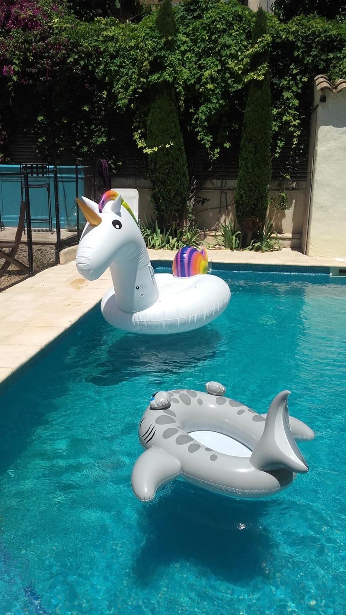 Cuxac-dʼAude Maison Pelissier Bed And Breakfast With Sweeming Pool מראה חיצוני תמונה